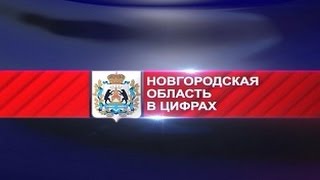 Новгородская область в цифрах. Новгородские дороги