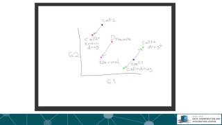Lecture 3 - Geometrical View of the Connectivity Map Concept