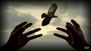 Have you noticed?...Lolek ( Γιάννης Αναγνωστάτος )