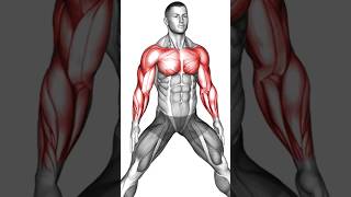 ટ્રાઇસેપ્સ  ઝડપ થી કેવી રીતે બનાવવું How to build Triceps Fast?