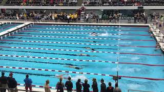 M200 Free Heat 1