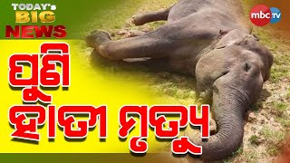 TODAY'S BIG NEWS | ପୁଣି ହାତୀ ମୃତ୍ୟୁ (Again Elephant Died) | News that matter | 7th Oct 2022 | MBCTv