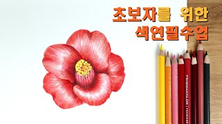 초보자를 위한 색연필 기법 / 꽃 그리기 / 꽃 채색방법