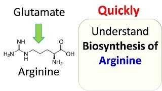 Arginine biosynthesis