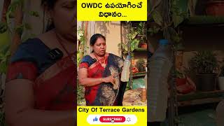 OWDC ఉపయోగించే విధానం || City Of Terrace Gardens