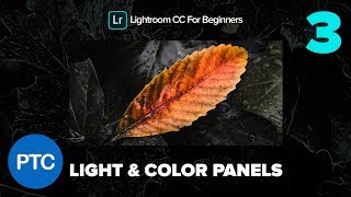 Develop Photos With The Light and Color Panels  - Lightroom CC for Beginners FREE Course - 03