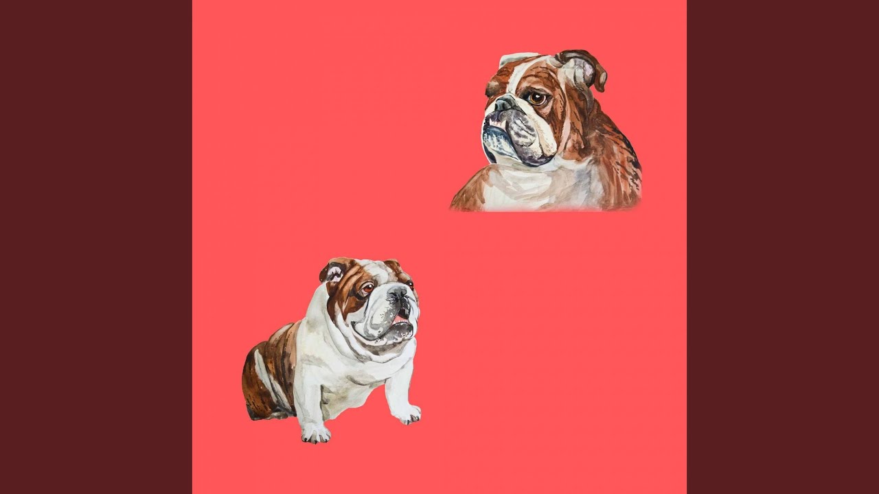 Hypnotic Ambiance For Dog Meditations Youtube