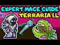 TERRARIA EXPERT MAGE PROGRESSION GUIDE 8! Terraria Mage Guide for Beginners! Hardmode Guide!