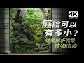 [4K] 打造蓬窗下的庭院微景 | 微型植物造境方法與技巧解析！🌿✨【野趣三川Leon】