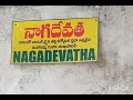 చంద్రగిరి మూలస్థానమ్మ🙏 నాగాలమ్మ పుట్ట స్వయంగా అమ్మవారి కలలో కనిపించి గుడి కట్టండి అని చెప్పింది