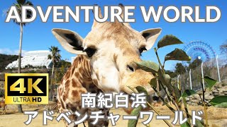 【4K】南紀白浜アドベンチャーワールド パンダ 和歌山 サファリ イルカ