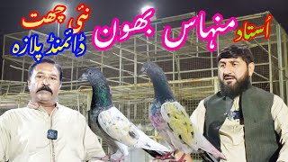 SAQAFAT | Ustad MINHAS Bhoun | Nai Chaat Diamond Plaza |  Chakwal dy Shoq | Subscribe My YouTube