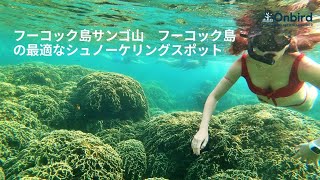 フーコック島サンゴ山　フーコック島の最適なシュノーケリングスポット