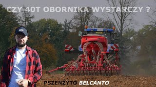 SIEW PSZENŻYTA W UPRAWIE UPROSZCZONEJ - CZY TO MA SENS?