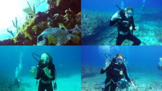 Antigua 2 Tank Dive