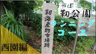 靭公園西園ランニングコースBGM~Jim Yosef Firefly PTⅡ~