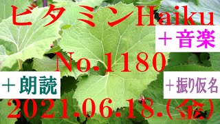 朗読つき。耳と目と口で楽しむ、今日の俳句。ビタミンHaiku。No.1180。2021.06.18.(金曜日)