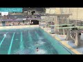 s13 diving national age group championships 2023