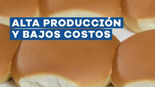 Demo Virtual III - Producción de Panes de Panchos, Hamburguesa, Figazza y más! - Argental