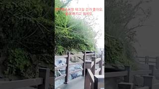 강화도 동막해수욕장 테크길, 만조영상과 비교하세요 2405