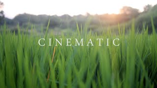 4K Nature Cinematography | Cinematic Background Music NO COPYRIGHT !!! NIKON D5300