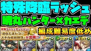 特殊降臨ラッシュ 暁丸ハンター×カエデ編成 編成難易度低め 遅延対応 【パズドラ】