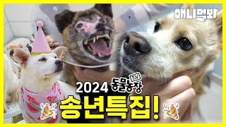 [풀영상] 굿바이 2024!🙌 동물농장 송년맞이 근황 특집🐶🐱ㅣ[FULL] Adios 2024! 🙌TV Animal Farm Star Updates🐶🐱