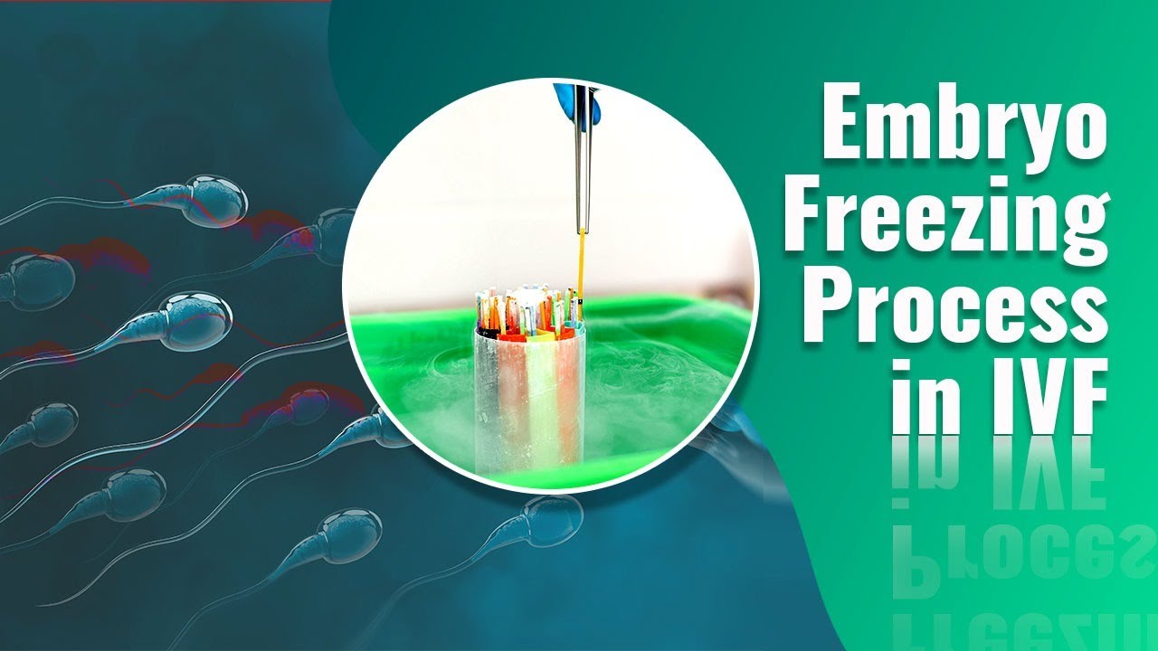 Frozen Embryo Transfer - Tips For Success In IVF - YouTube