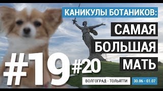 30 ИЮНЯ - 1 ИЮЛЯ. ВОЛГОГРАД - ТОЛЬЯТТИ. САМАЯ БОЛЬШАЯ МАТЬ. СЕРИЯ №19-20. КАНИКУЛЫ БОТАНИКОВ.