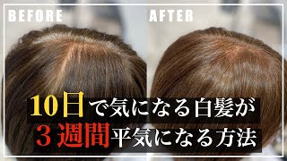 【10日で気になる白髪問題】３週間白髪が気にならなくなる方法！