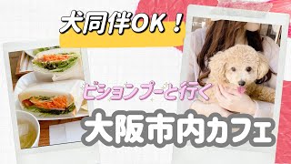 犬同伴OK◎大阪市内カフェ（ミナミエリア）◎vlog