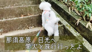 愛犬と2泊3日の旅行　in那須高原　日光