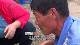 한국인의 밥상 - 갈대의 바다, 순천만 - 풍경이 아닌 삶의 터전. 20171026