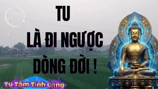 Tu Là Đi Ngược Dòng Đời – Khi Bạn Ngừng Bị Cuốn Theo Chính Mình | Tu Tâm Tĩnh Lặng