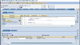 ABAP Debugger Scripting: Basics