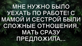 Мне нужно было уехать по работе! С мамой и сестрой были сложные отношения. Мать сразу предложила...