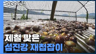 제철 맞은 섬진강 재첩잡이...서서히 서식지도 복원 / YTN