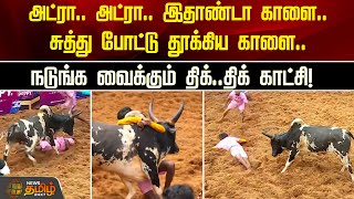 காளையா? வீரனா? சுத்து போட்டு தூக்கிய காளை ..நடுங்க வைக்கும் திக்..திக் காட்சி! | Alanganallur