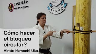 Hirate Mawashi Uke de Uechi Ryu - Seminario FAKKO