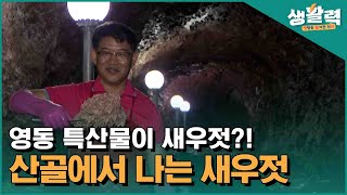 영동 특산물이 새우젓?! 산골에서 나는 새우젓ㅣ생방송활기찬저녁ㅣMBC충북ㅣ220922