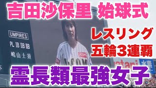 【レスリング女王】霊長類最強女子の吉田沙保里が甲子園に降臨しパワフルな始球式を披露！【※視聴者提供】2024年5月26日阪神対巨人