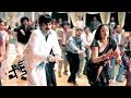 Shock Movie - Cycle Ekki  Full Video Song - Ravi Teja, Jyothika
