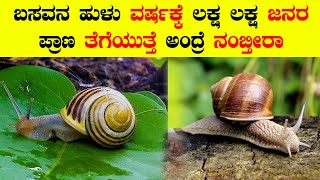 ಬಸವನ ಹುಳು ಲಕ್ಷ ಲಕ್ಷ ಜನರ ಜೀವ ತೆಗೆಯುತ್ತೆ ಅಂದ್ರೆ ನೀವು ನಂಬ್ತೀರಾ| snail information in kannada | snail