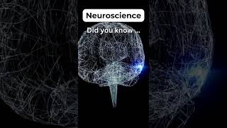 Neuroscience 089