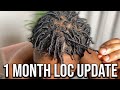 1 Month Loc Update | Hightop dreads expectations vs reality (starter locs)