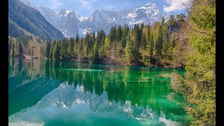 Slovenian Alps. Gozd Martuljek, Lago di Fusine, Zelenci, jezero Jasna. 4.5.2023