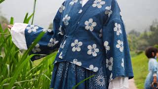 Blue dyed Hanfu蓝染汉服，蓝印花这么美|Qilan Channel