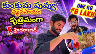 చిన్న Roomలో కుంకుమ పువ్వు (Saffron) Farming 🌸| Kesar Farming / Kg ₹6 Lakh 😱/ AgroTill