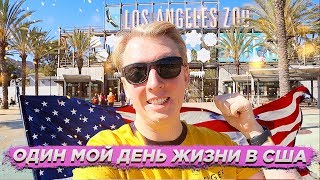 МОИ АМЕРИКАНСКИЕ БУДНИ / АУТЛЕТЫ / РЕСТОРАН / ВЛОГ ИЗ США