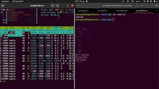 Paula's Server - Reverse Shell Attack